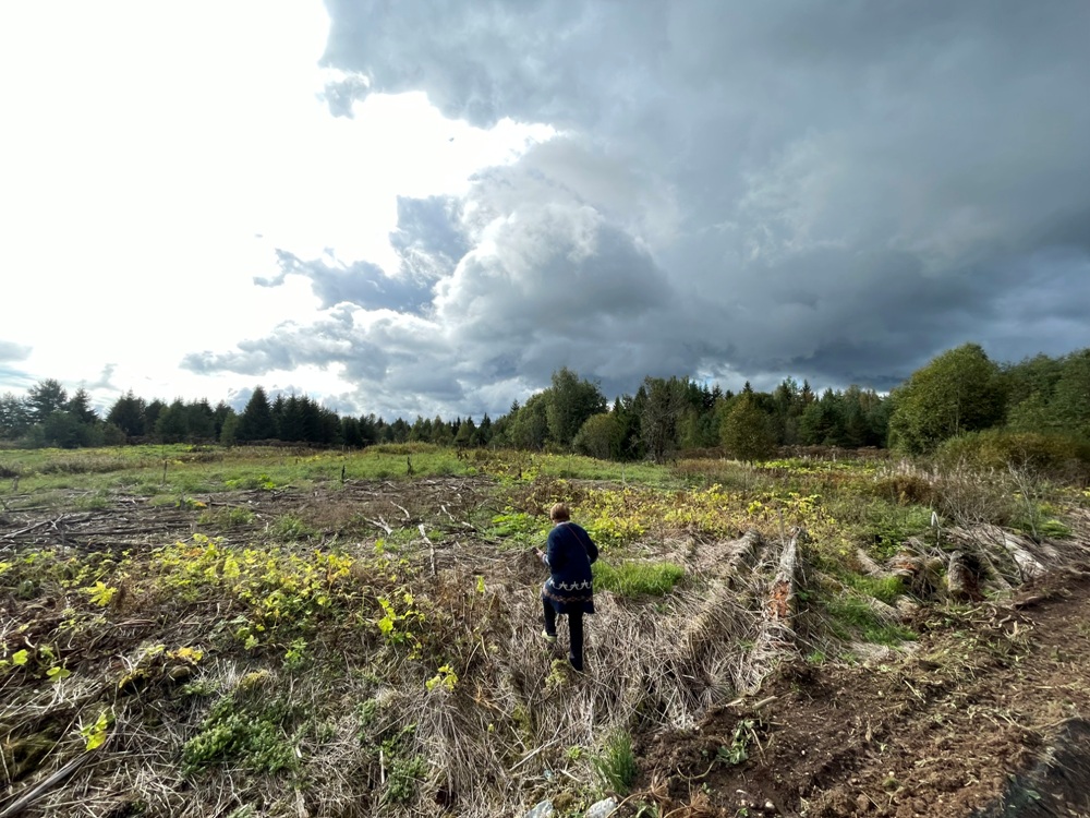 Борьба с борщевиком Сосновского
